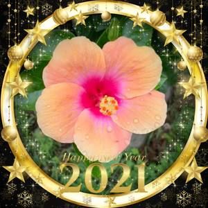 Meet your Posher, Leesa